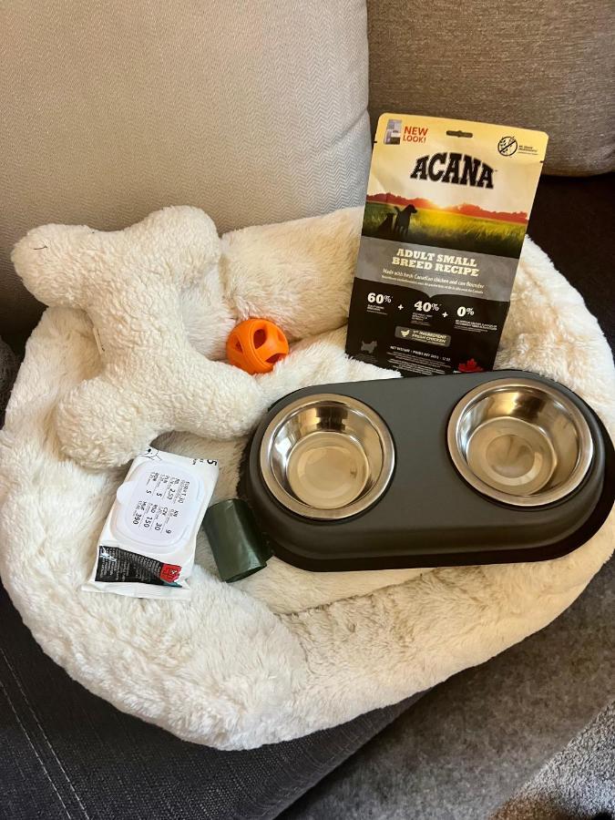 Adorable, Cosy Apartment At The Heroes' Square ブダペスト エクステリア 写真